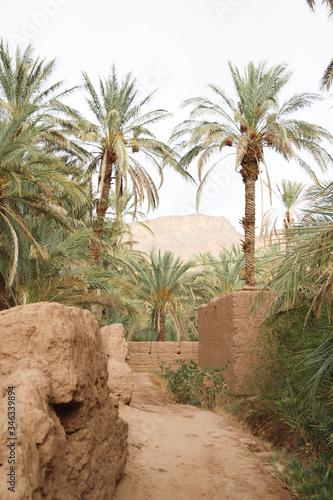 la nature Tamezmoute est une commune rurale marocaine de la province de Zagora, dans la région de Drâa-Tafilalet 