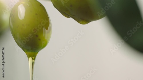 Macro shot of a ripe olive on a branch, with pure golden olive oil dripping from its tip. Represents the concept of fresh, cold-pressed extra virgin olive oil, organic food, and natural farming.