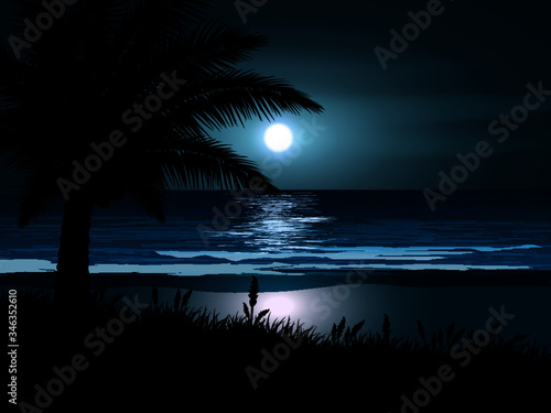 palm tree on the beach
