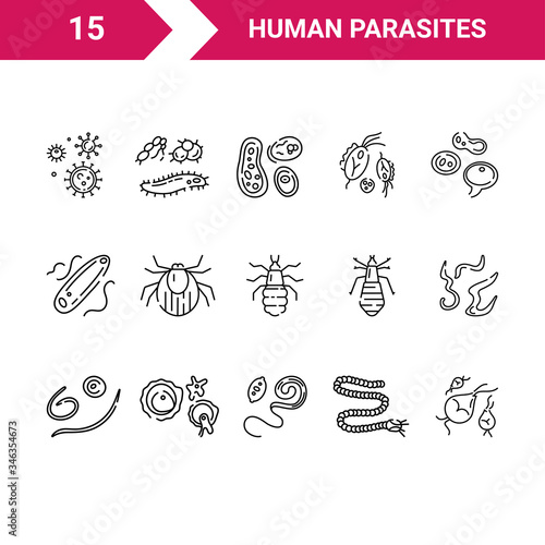 Human parasites. Set of vector linear icons. photo