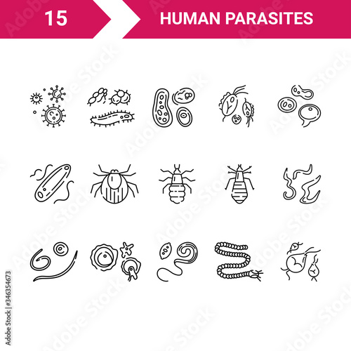 Human parasites. Set of vector linear icons.