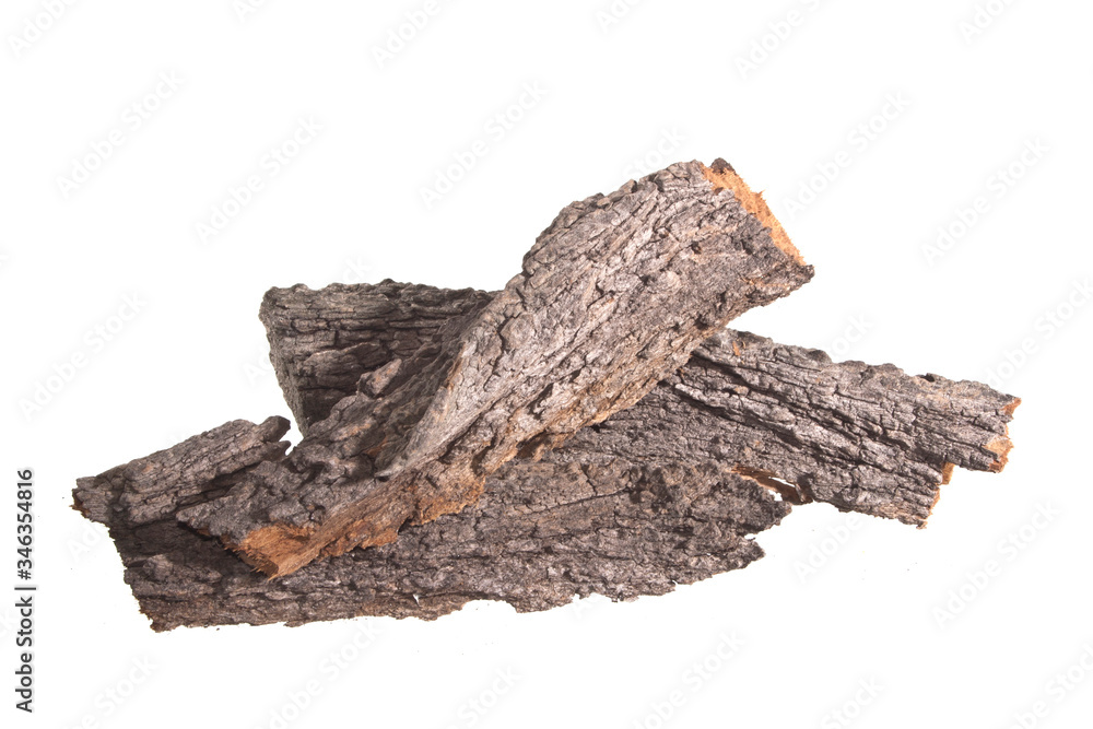 tree bark isolated on white background tree bark isolated on white background