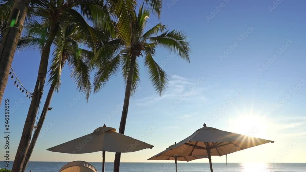 Coconut Tree and Parasols Under Clear Sky on Tropical Beach Resort. Exotic Holiday Scenery Coconut Tree and Parasols Under Clear Sky on Tropical Beach Resort. Exotic Holiday Scenery