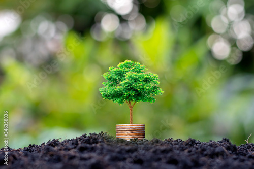 Small trees with green leaves grow on coins or money that overlap naturally with agricultural concepts and sustainable financial growth.