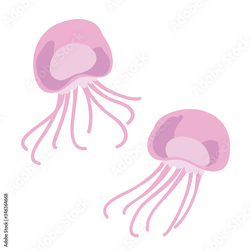 クラゲ　イラスト