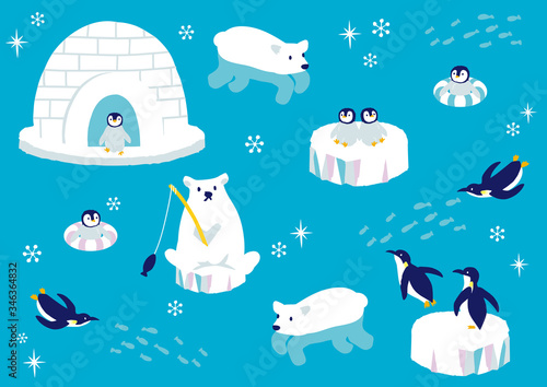 南極の動物たち　イラスト