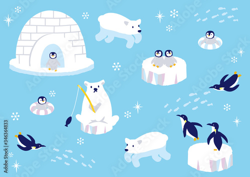 南極の動物たち　イラスト