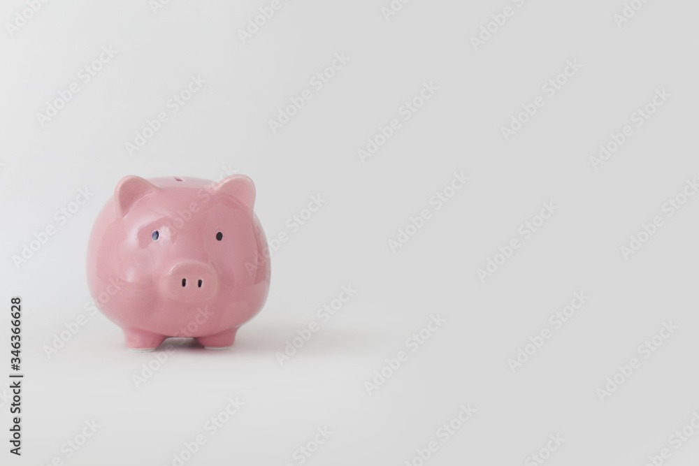 Close-up of pink piggy bank stands on white background