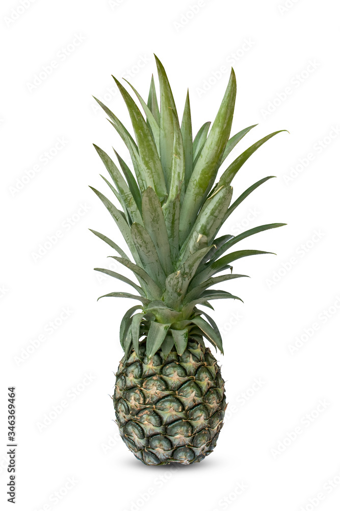Pineapple, isolated on a white background with the clipping path. Pineapple, isolated on a white background with the clipping path.