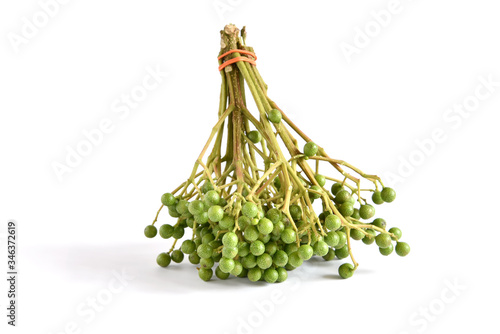 Fresh fruit Green of Szechuan pepper Zanthoxylum piperitum used for Fish dishes in India Spikes or Thorn having plants fruit Teppal TirpalTeppal or Tirphal Zanthoxylum rhetsa. Components of spices. photo