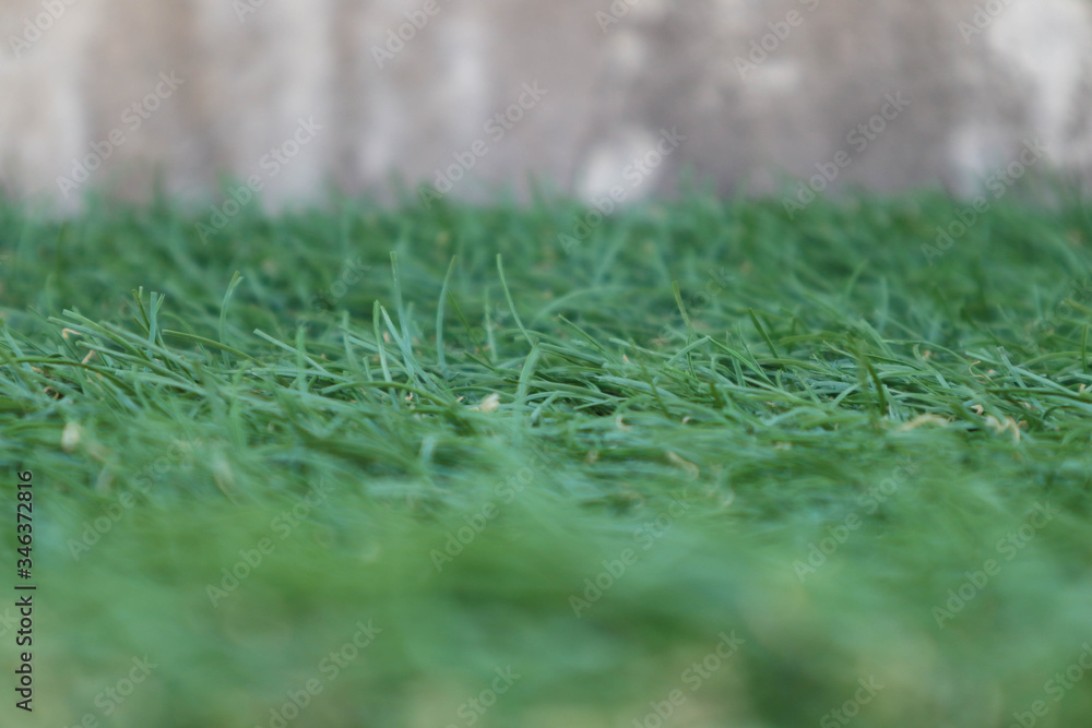 Naklejka premium macro green grass background