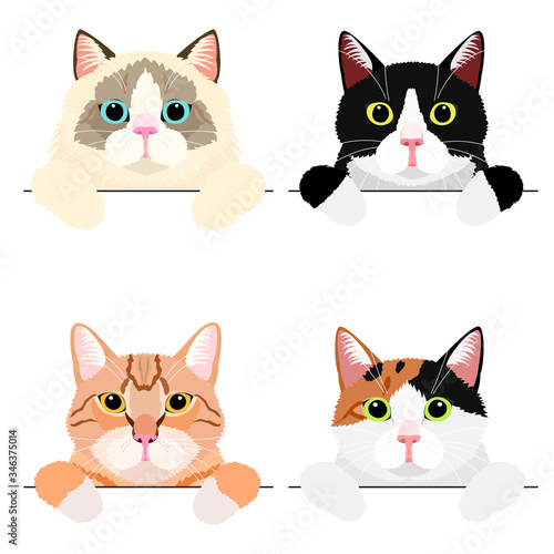 various cute cat banner set