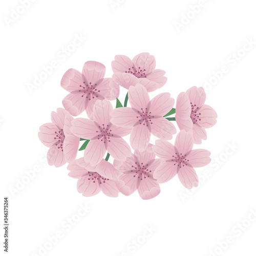 桜の花