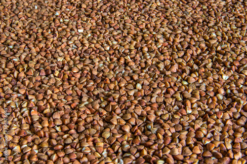 Buckwheat