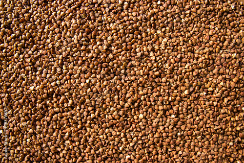 Buckwheat