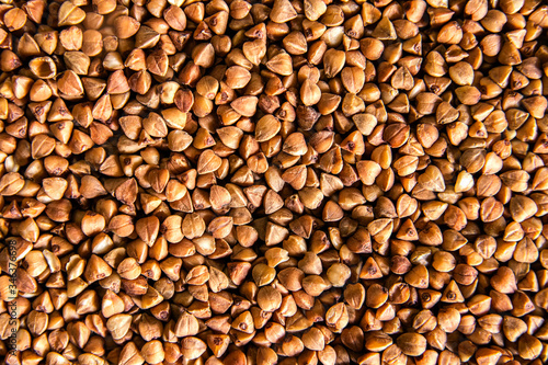 Buckwheat