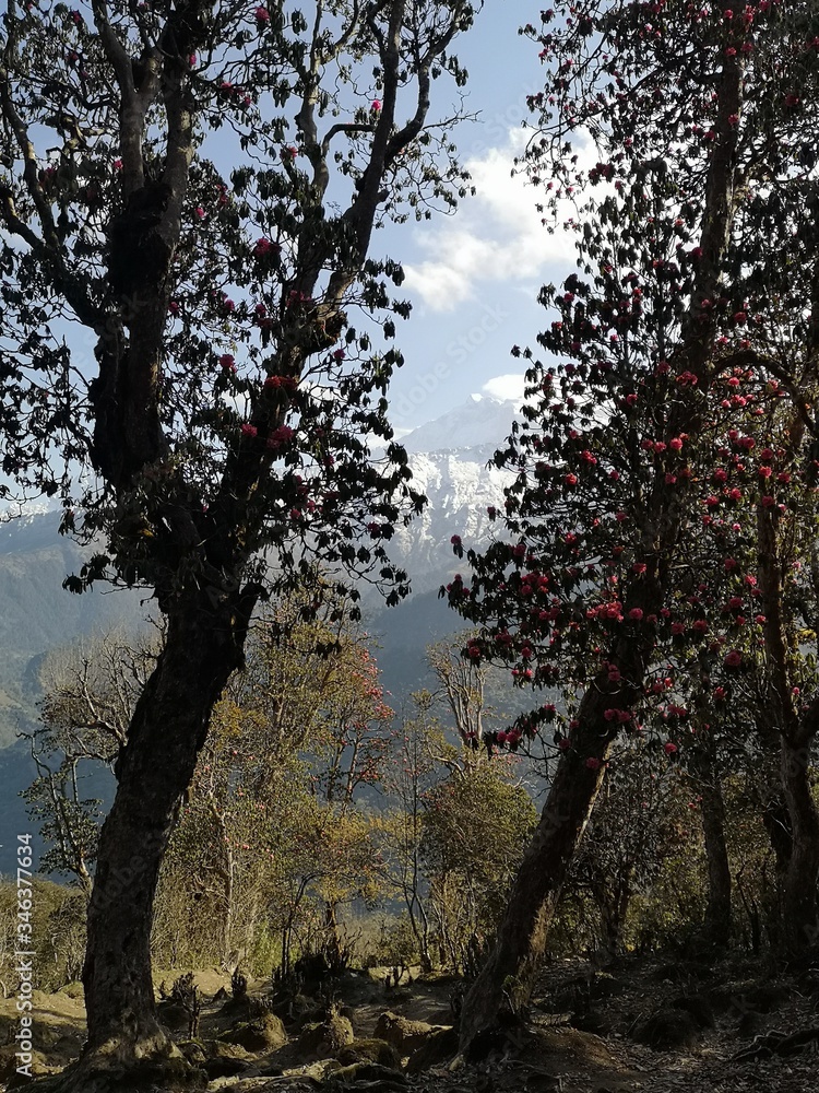 Images of wonderful places in Mustang Valley, Nepal, Himalayas Images of wonderful places in Mustang Valley, Nepal, Himalayas