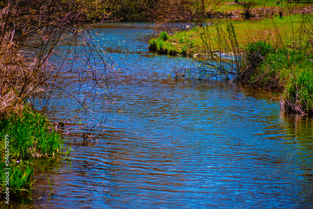 lake in the forest lake in the forest