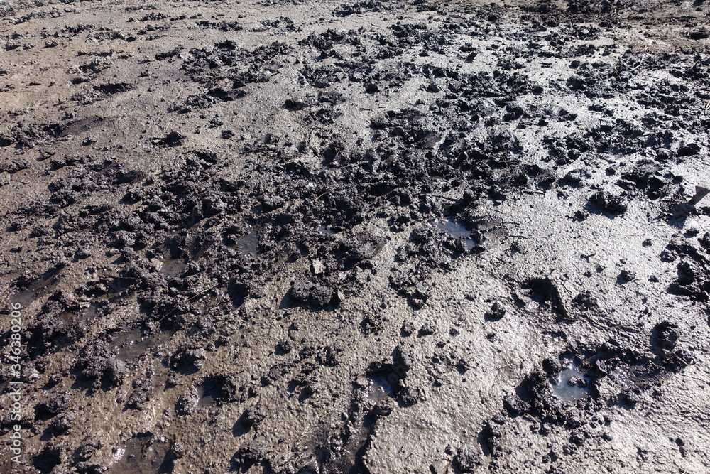 Wet dark brown liquid mud and earth with hoofprints of animals. Natural spring mud. Background of wet, viscous marsh soil. Wet dark brown liquid mud and earth with hoofprints of animals. Natural spring mud. Background of wet, viscous marsh soil.
