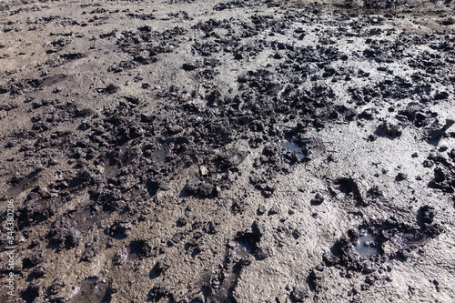 Wet dark brown liquid mud and earth with hoofprints of animals. Natural spring mud. Background of wet, viscous marsh soil.