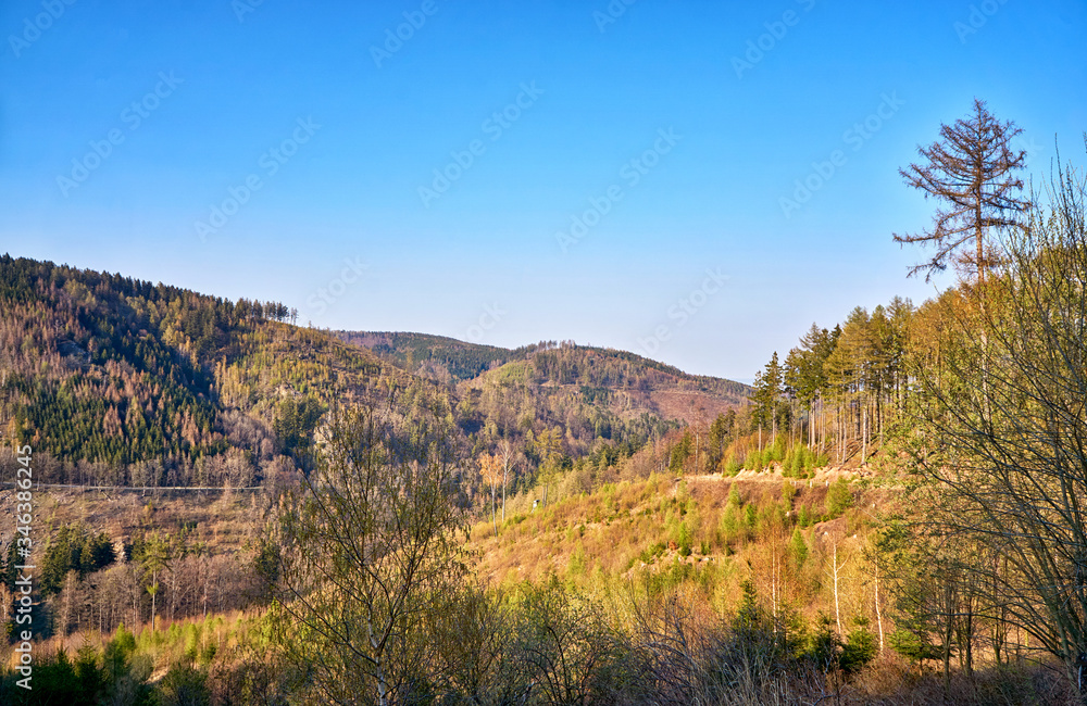 Mountains with trees in the Harz under a blue sky.