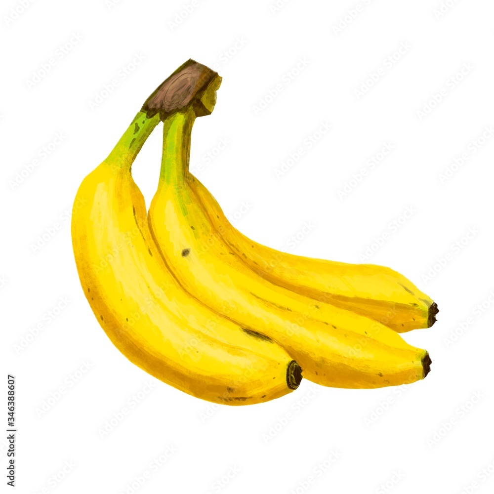 リアルタッチのバナナのイラスト