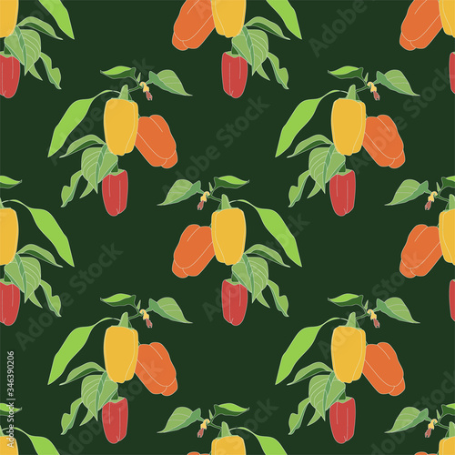Ripe seamless pepper in the garden.Vector illustration.