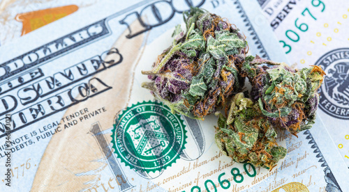 medical marijuana, cannabis bud with one hundred dollars banknotes macro, closeup