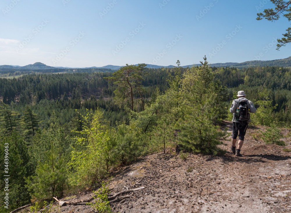 Back of man hiker walking in landscape in Lusatian Mountains view from sandstone rocks, green hills, fresh deciduous and spruce tree forest. Blue sky background, horizontal, copy space