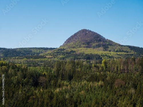 Spring landscape in Lusatian Mountains with view point hill Klic or Kleis, fresh deciduous and spruce tree forest. Blue sky background, horizontal, copy space