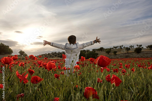 Entre amapolas