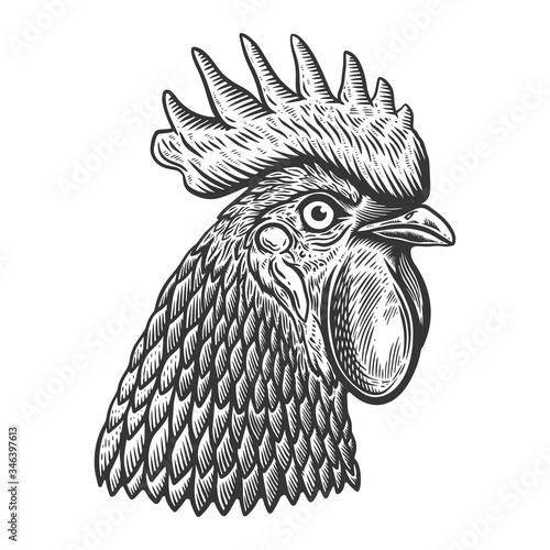 Illustration of rooster head in engraving style. Design element for logo, label, sign, poster, t shirt. Vector illustration
