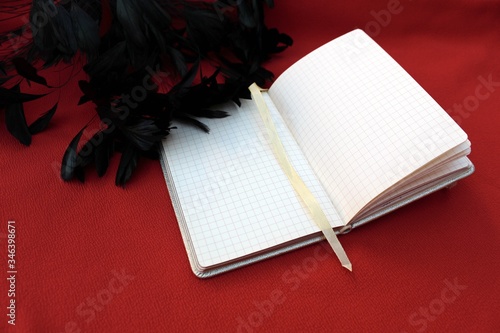 Obraz na płótnie Open notebook on a red background. With black long feathers. Open notebook with feathers isolated on a bordo backdrop with place for text. w salonie