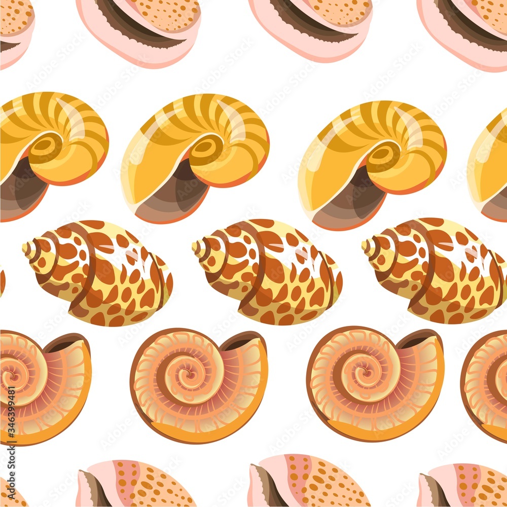 Seashell and conch, sealife shells and mollusks seamless pattern Seashell and conch, sealife shells and mollusks seamless pattern