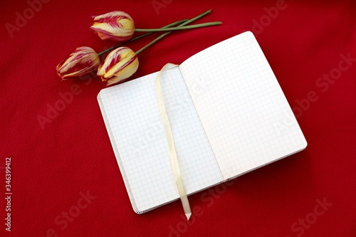Obraz na płótnie Open notebook isolated on red with three red-yellow tulips. Checkered notebook with place for text and three flowers on a burgundy background w salonie