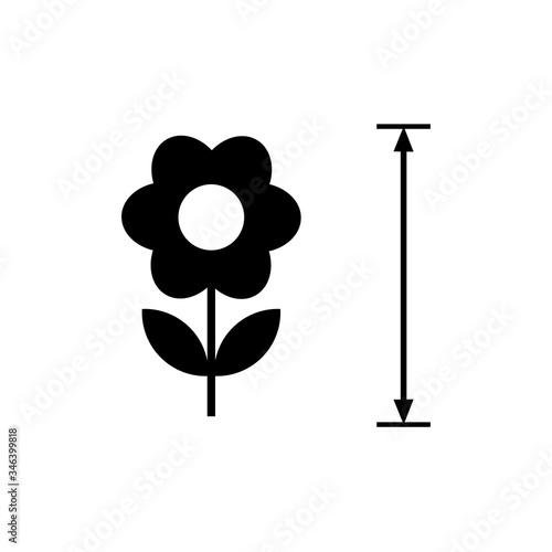 silhouettes of flower and size scheme, icon.