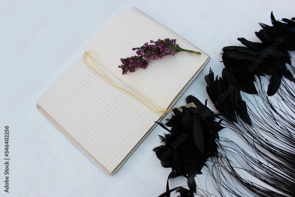 An opened notebook on a white background with a sprig of lilac and black long feathers. Open notebook isolated on white background with place for text with feathers and lilac ..