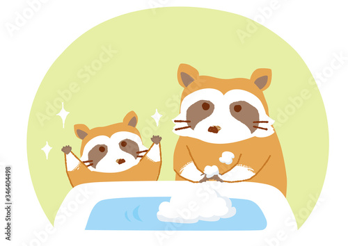 手を洗うアライグマのイラスト