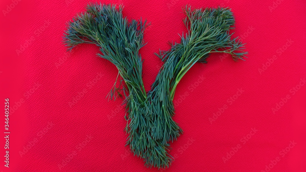 Letter V made from green dill isolated on a red background. Alphabet made of vegetables and herbs. Healthy eating. Capital letter V made from natural green products on a red background