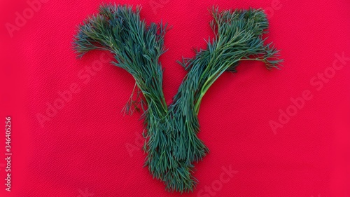 Obraz na płótnie Letter V made from green dill isolated on a red background. Alphabet made of vegetables and herbs. Healthy eating. Capital letter V made from natural green products on a red background w salonie