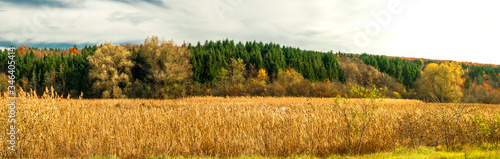 autumn landscape  Lipnik  Teketo  park  Samundzhi village area  Ruse district  Bulgaria