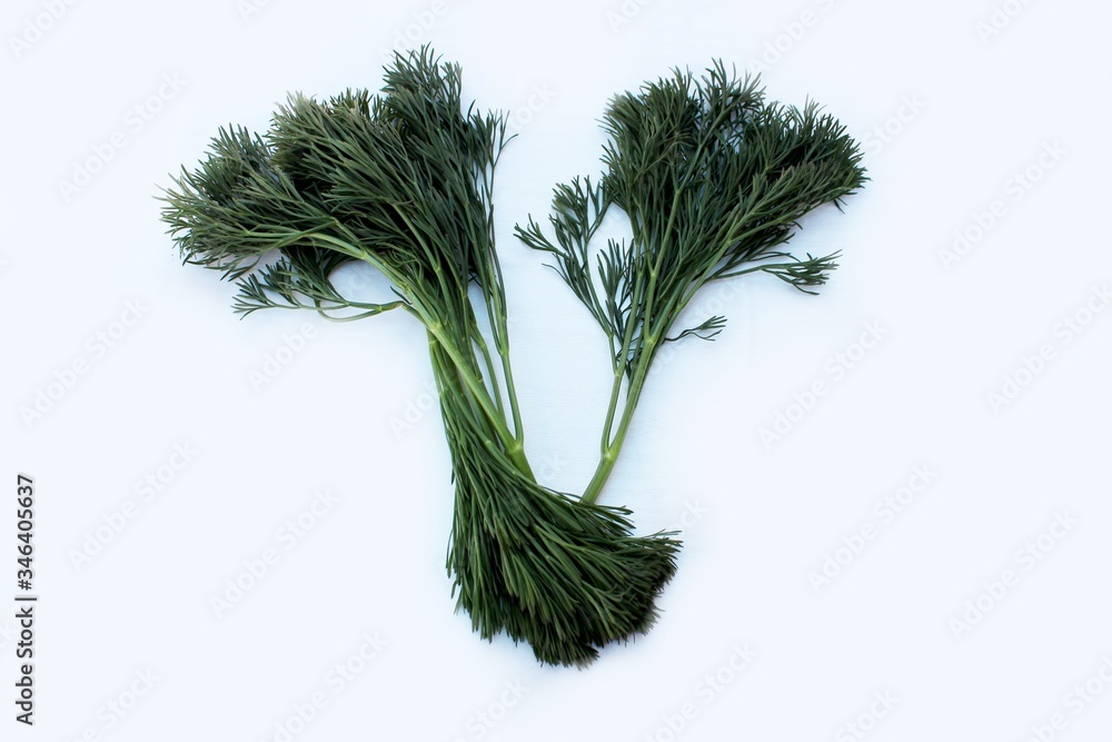 Letter V made from green dill isolated on a white background. Alphabet made of vegetables and herbs. Healthy eating. Capital letter V made from natural green products on a white background