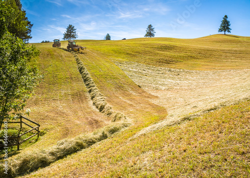 Haymaking with tractor. Cutting grass for haymaking in South Tyrol, Trentino Alto Adige, northern Italy, photo