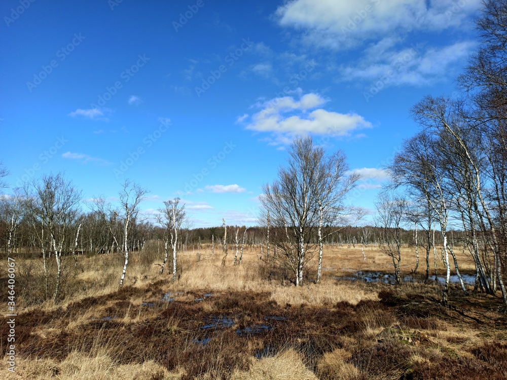 Kaltenhofer Moor in Schleswig-Holstein in Germany Kaltenhofer Moor in Schleswig-Holstein in Germany