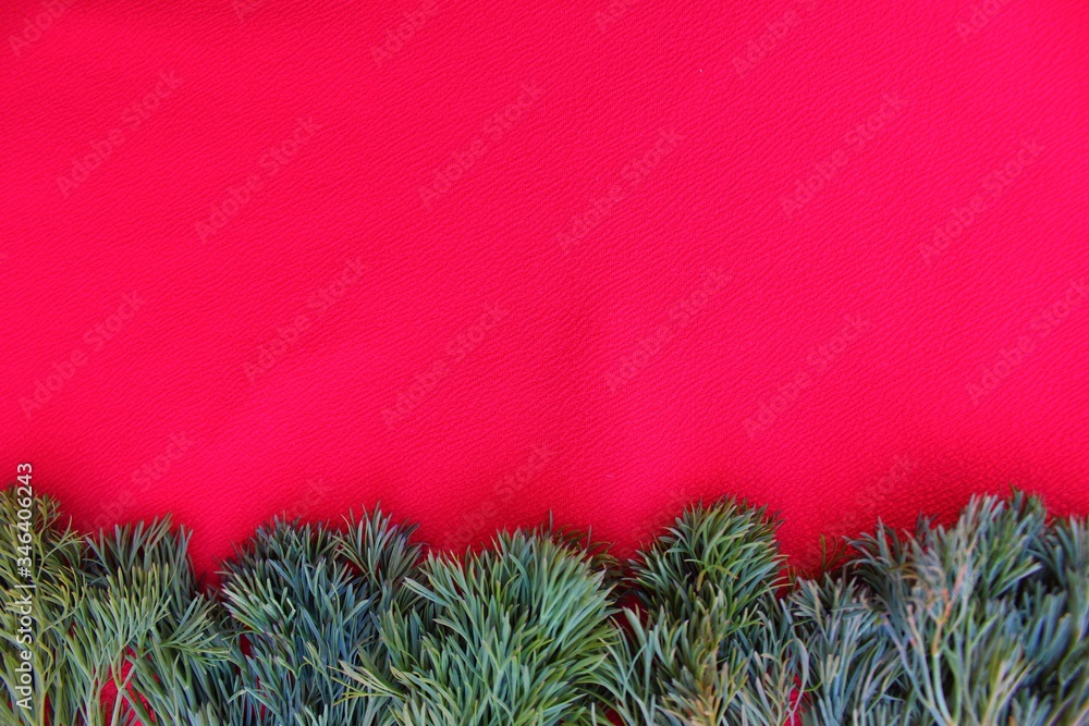 Dill frame isolated on red with place for text. Fresh greens, green salad and healthy nutrition.
