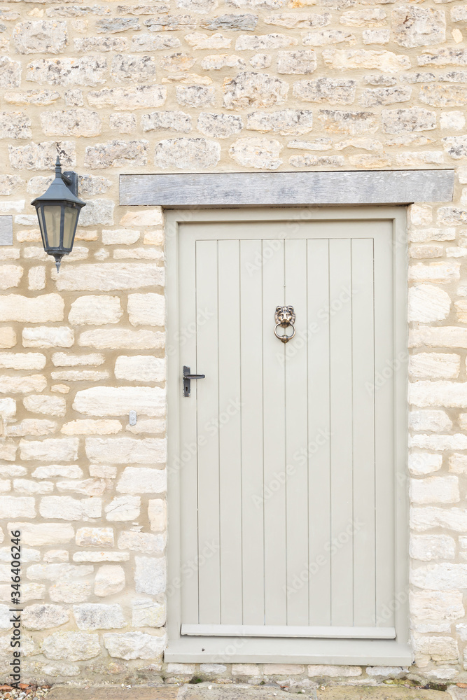 Fototapeta premium lion door knockers on a door