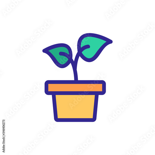climbing plant in flower pot icon vector. climbing plant in flower pot sign. color symbol illustration