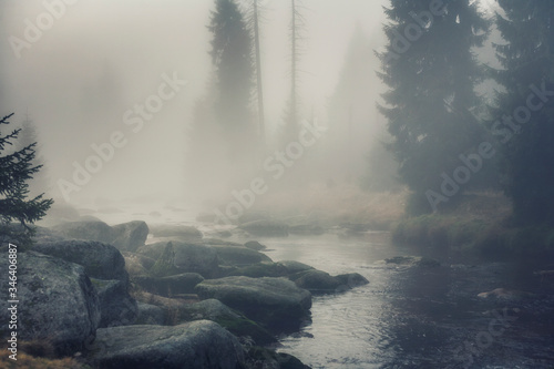 Izera river in foggy landscape in the morning _Izerskie mountains