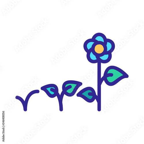 flower bed icon vector. flower bed sign. color symbol illustration