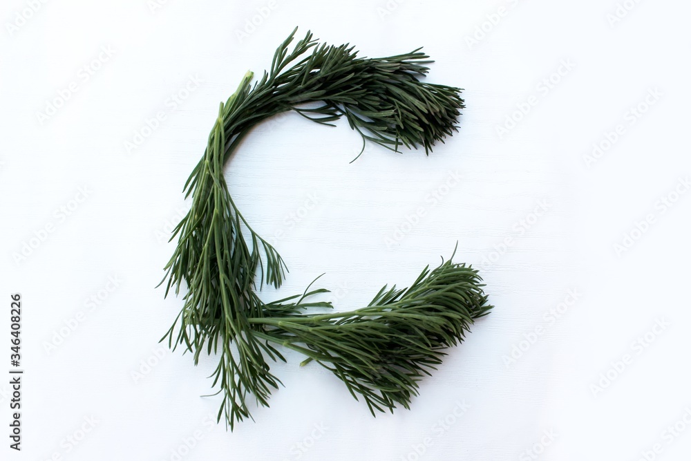 Letter C made from green dill isolated on a white background. Alphabet made of vegetables and herbs. Healthy eating. Capital letter C made from natural green products on a white background